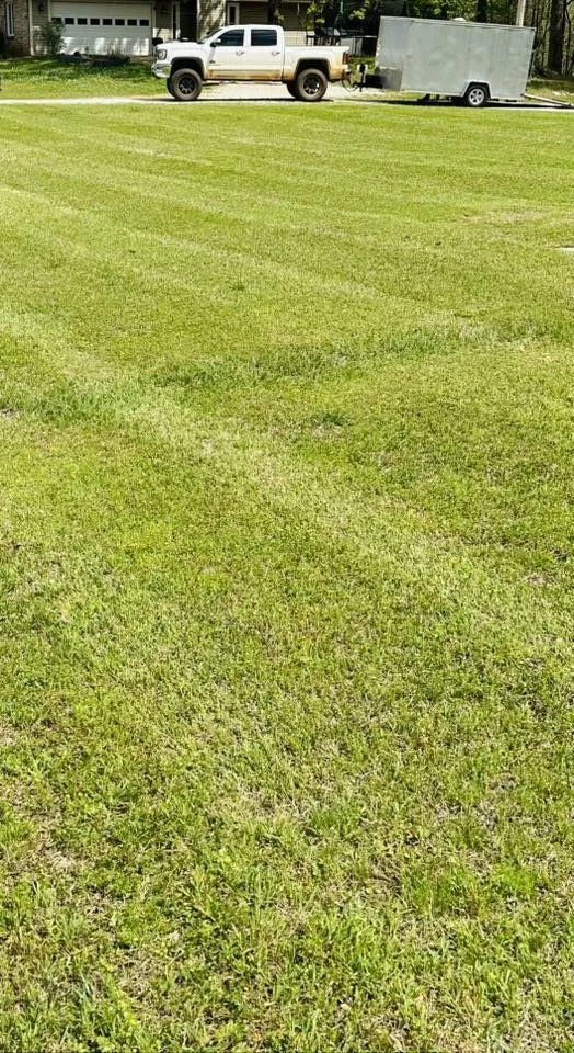 Custom landscaping services experts serving La Fayette, AL - B&B Lawn Services