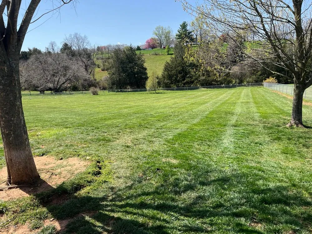 Trusted lawn care service in Rocky Mount, VA by B&B Lawn Services