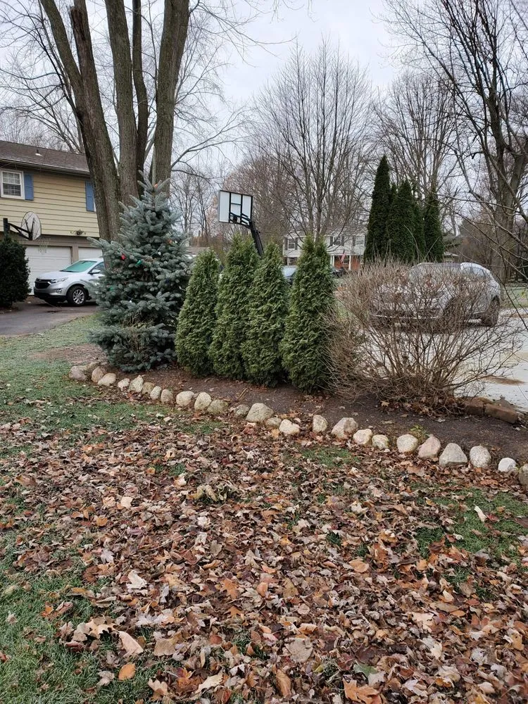 Professional landscaping services in Eastpointe, MI by B+B Lawnscape