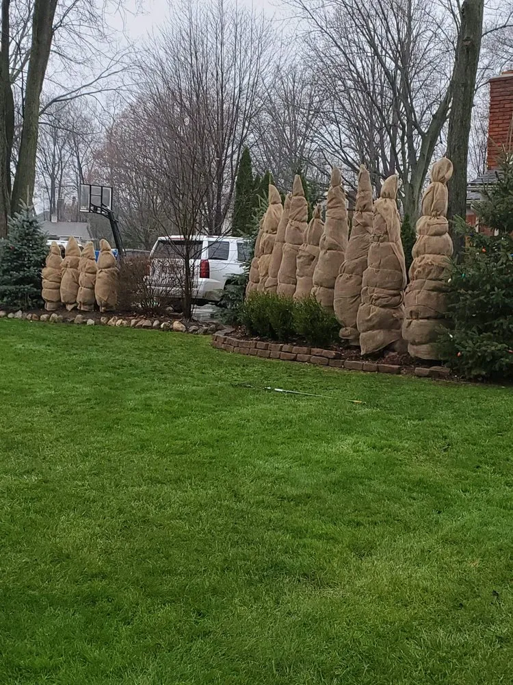 Trusted outdoor landscaping in Eastpointe, MI - B+B Lawnscape