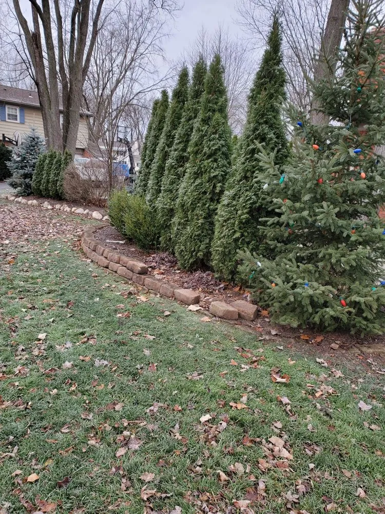 Top-rated lawn mowing service for outdoor upgrades in Eastpointe, MI by B+B Lawnscape