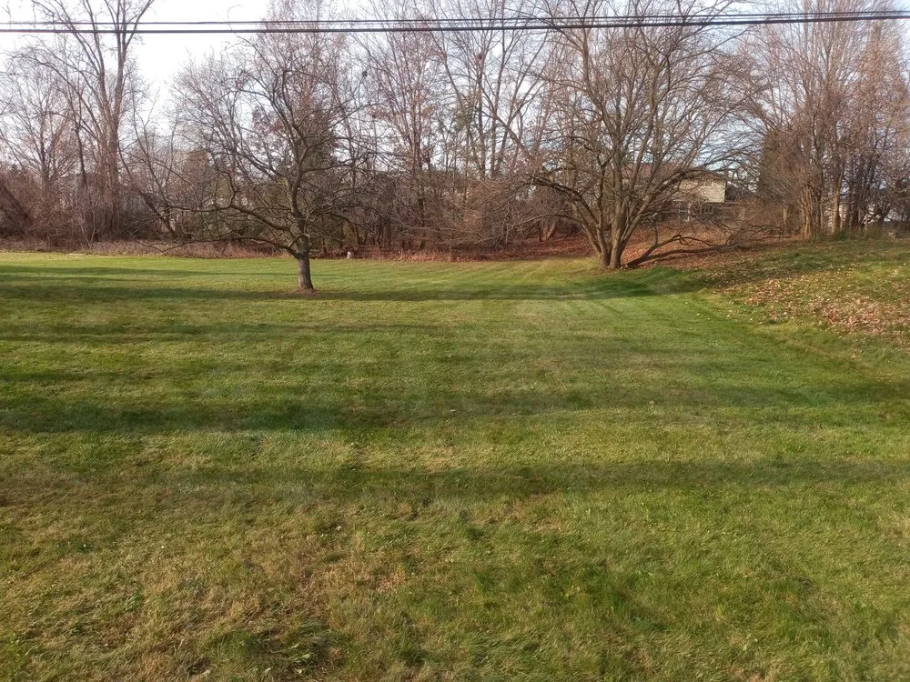 Trusted residential landscaping experts serving Eastpointe, MI - B+B Lawnscape