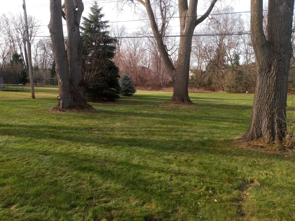 Custom lawn care service for year-round maintenance in Eastpointe, MI by B+B Lawnscape