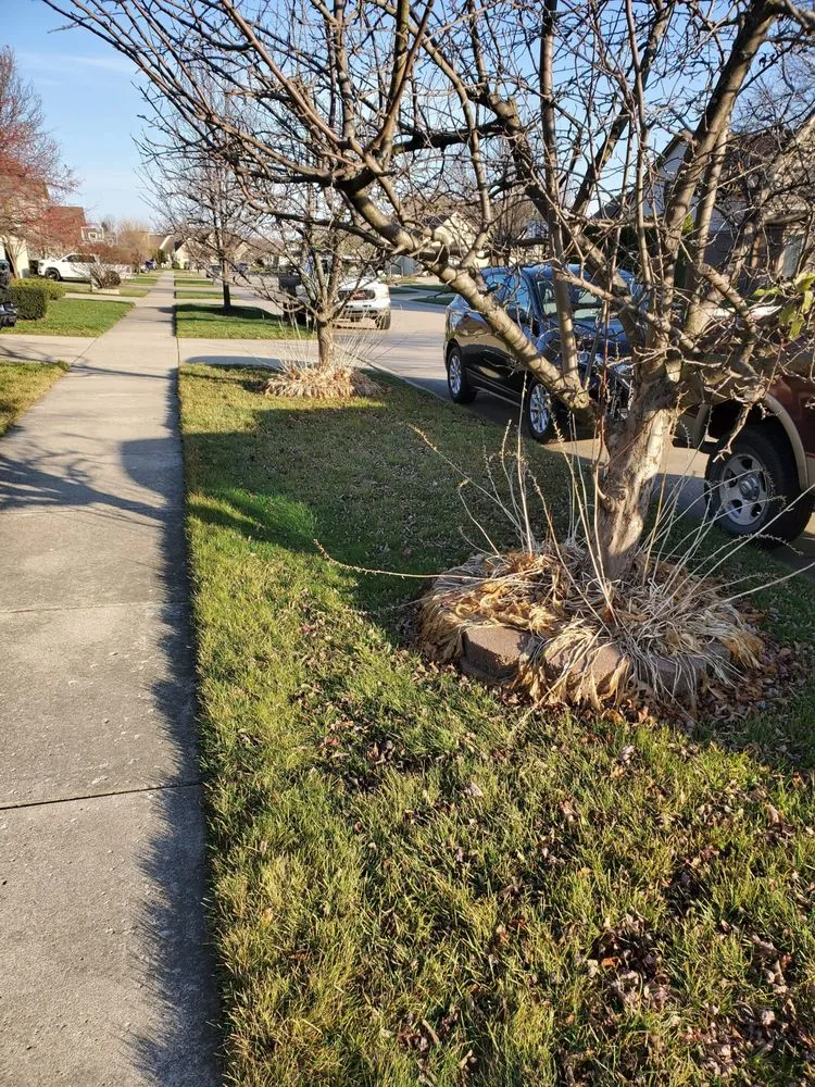 Affordable residential landscaping for year-round maintenance across Eastpointe, MI - B+B Lawnscape