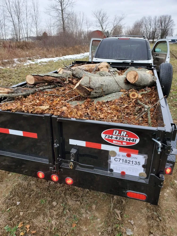 Local outdoor landscaping experts serving Eastpointe, MI - B+B Lawnscape