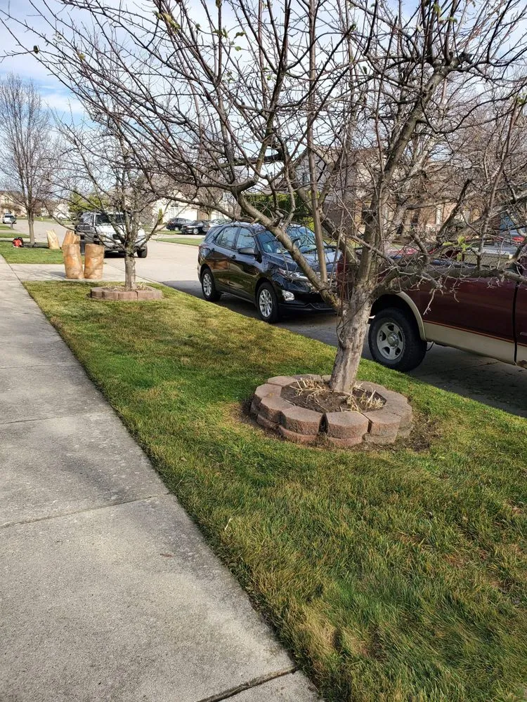 Expert yard cleanup service in Eastpointe, MI by B+B Lawnscape