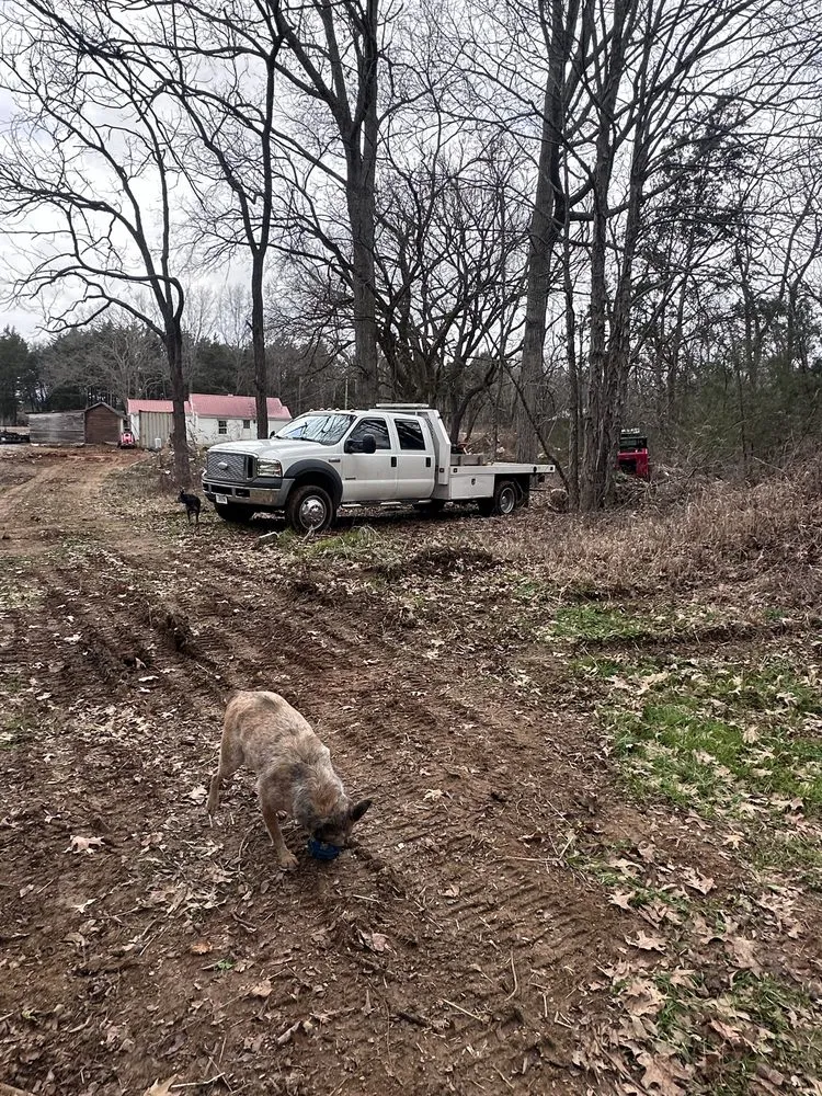 Affordable lawn care service for homes in Eagleville, TN by BB Lewis