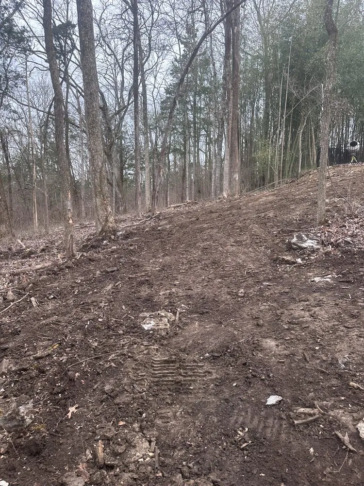 Affordable lawn care service with custom design across Eagleville, TN - BB Lewis