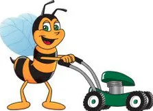 Trusted lawn mowing service for year-round maintenance across Sandy, UT - B&B Mowing Maintenance and More