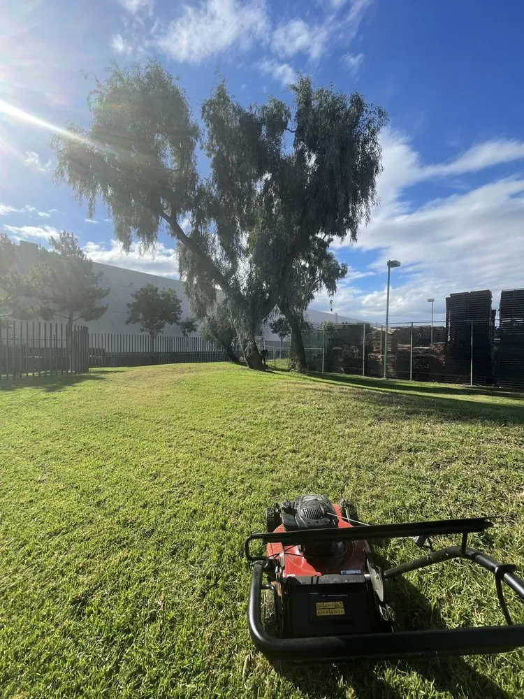 Top-rated lawn care service in Redlands, CA by B&B Mowing