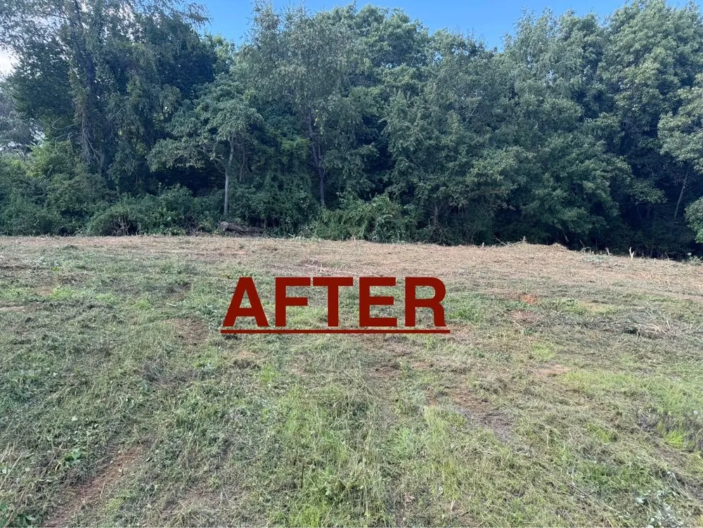 Expert yard cleanup service in Brimfield, IL - B&B Operations