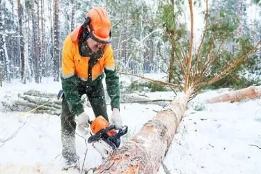 Custom lawn mowing service in Draper, UT by B&B Outdoor Solutions