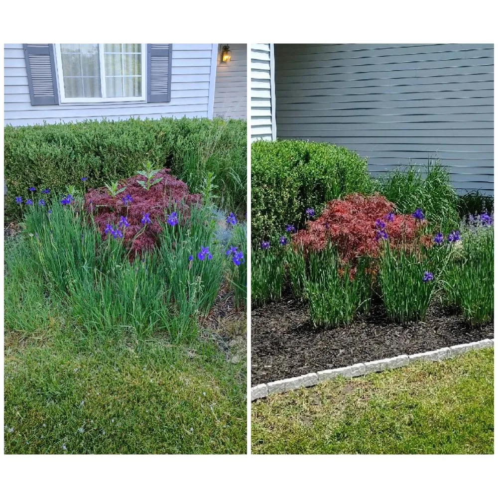 Expert lawn care service in Whitmore Lake, MI - BB Outdoors