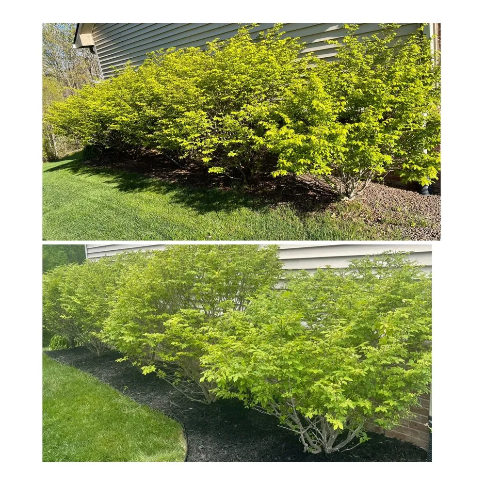 Affordable lawn mowing service in Whitmore Lake, MI - BB Outdoors