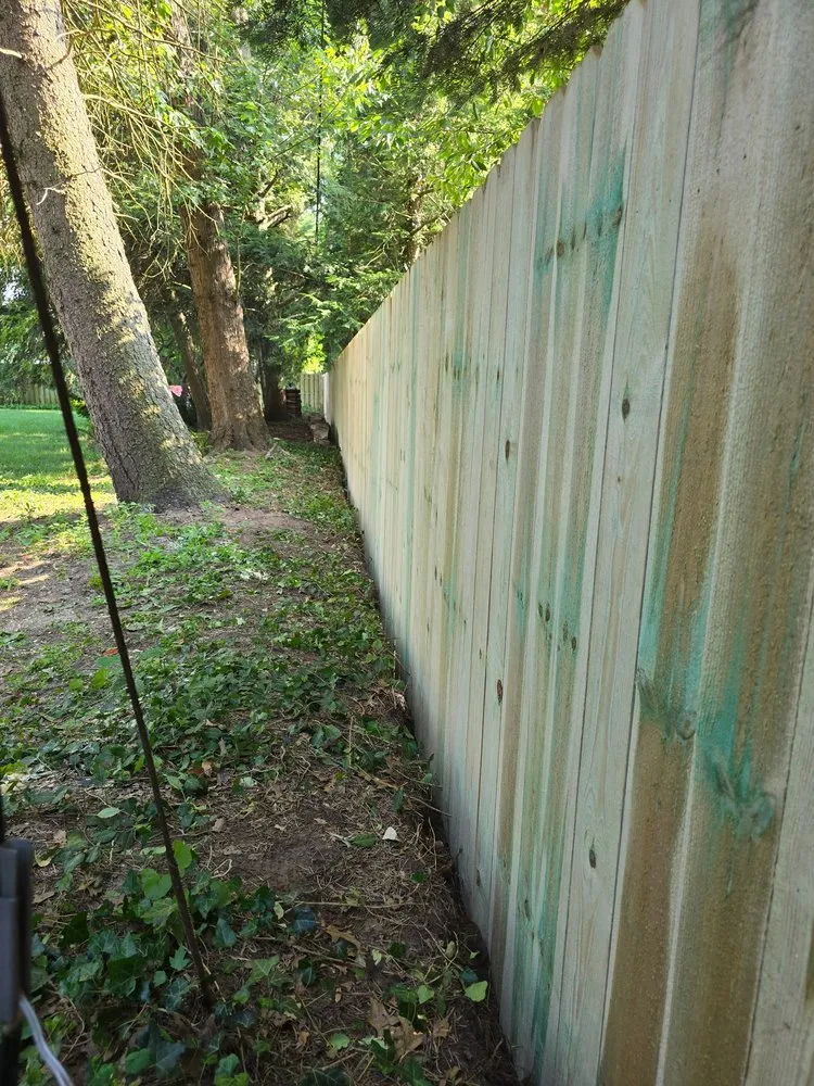 Trusted lawn mowing service experts serving Tiffin, OH - B&B Property Preservations