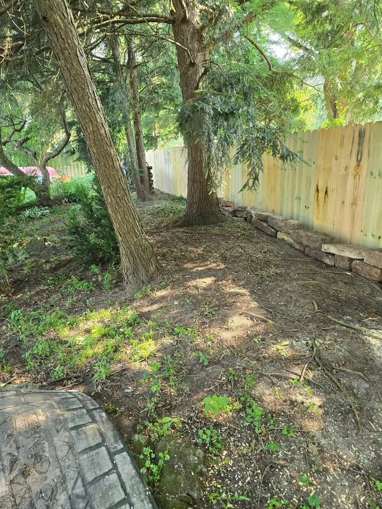 Professional lawn mowing service in Tiffin, OH - B&B Property Preservations