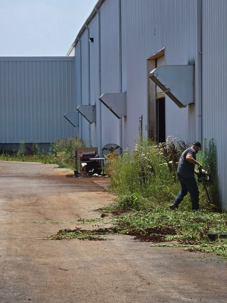 Professional lawn care service in Tiffin, OH by B&B Property Preservations