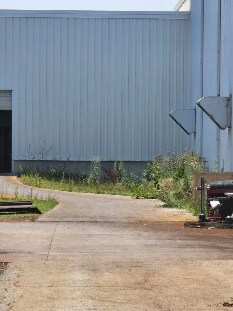 Trusted yard cleanup service in Tiffin, OH - B&B Property Preservations