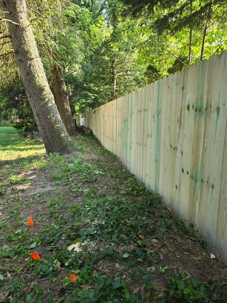 Top-rated landscaping services experts serving Tiffin, OH - B&B Property Preservations