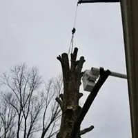 Local outdoor landscaping in Saint Ann, MO by B&B Tree and Landscapes