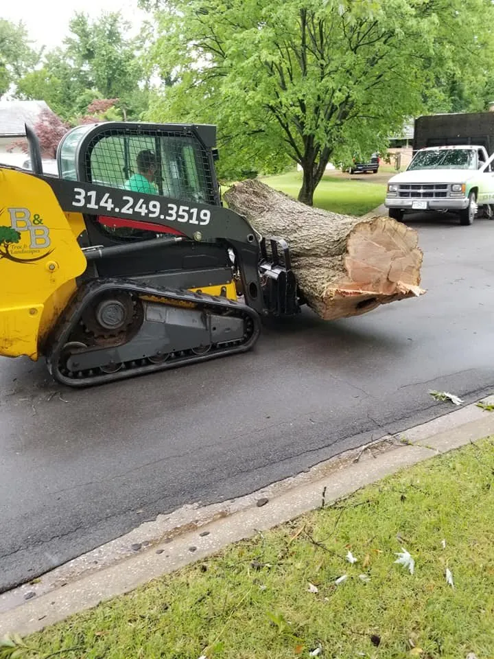 Expert lawn mowing service for homes across Saint Ann, MO - B&B Tree and Landscapes