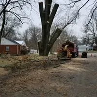 Trusted outdoor landscaping in Saint Ann, MO - B&B Tree and Landscapes