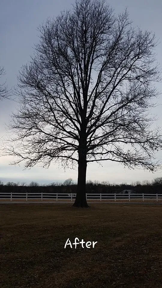 Professional lawn mowing service for outdoor upgrades in Saint Ann, MO by B&B Tree and Landscapes