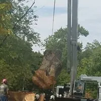 Professional landscape installation with custom design in Saint Ann, MO by B&B Tree and Landscapes