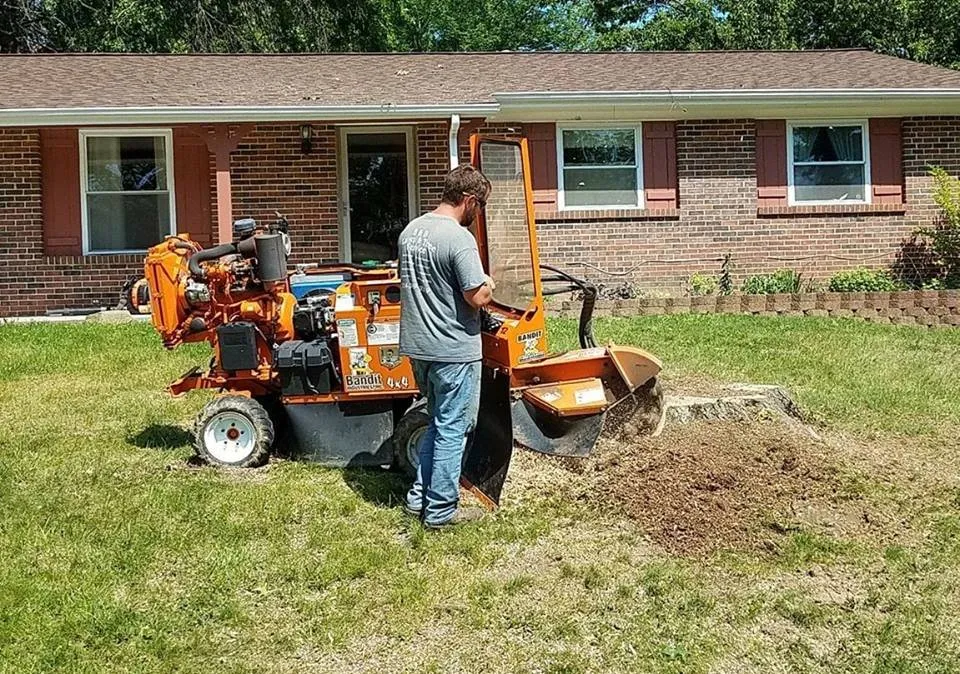 Expert residential landscaping with custom design in Saint Ann, MO by B&B Tree and Landscapes