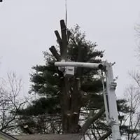 Reliable yard cleanup service for residential properties across Saint Ann, MO - B&B Tree and Landscapes