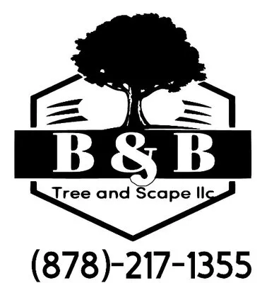 B&B Tree and Scape Logo