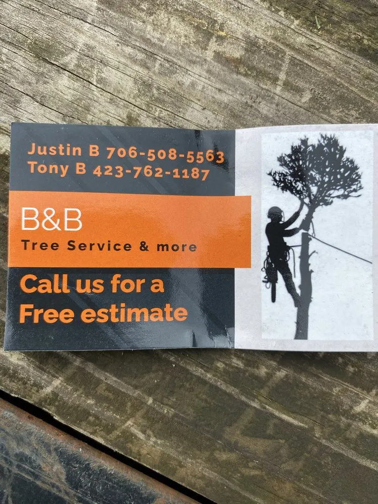 Top-rated lawn care service for year-round maintenance across Soddy-Daisy, TN - B&B Tree Service & More
