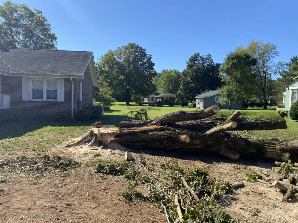 Professional landscape design in Soddy-Daisy, TN - B&B Tree Service & More