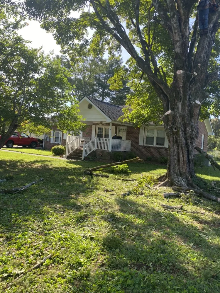 Trusted yard cleanup service for residential properties in Soddy-Daisy, TN by B&B Tree Service & More