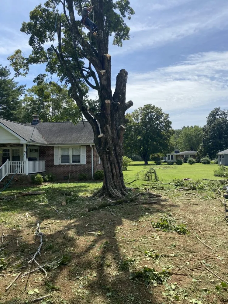 Affordable outdoor landscaping near you across Soddy-Daisy, TN - B&B Tree Service & More