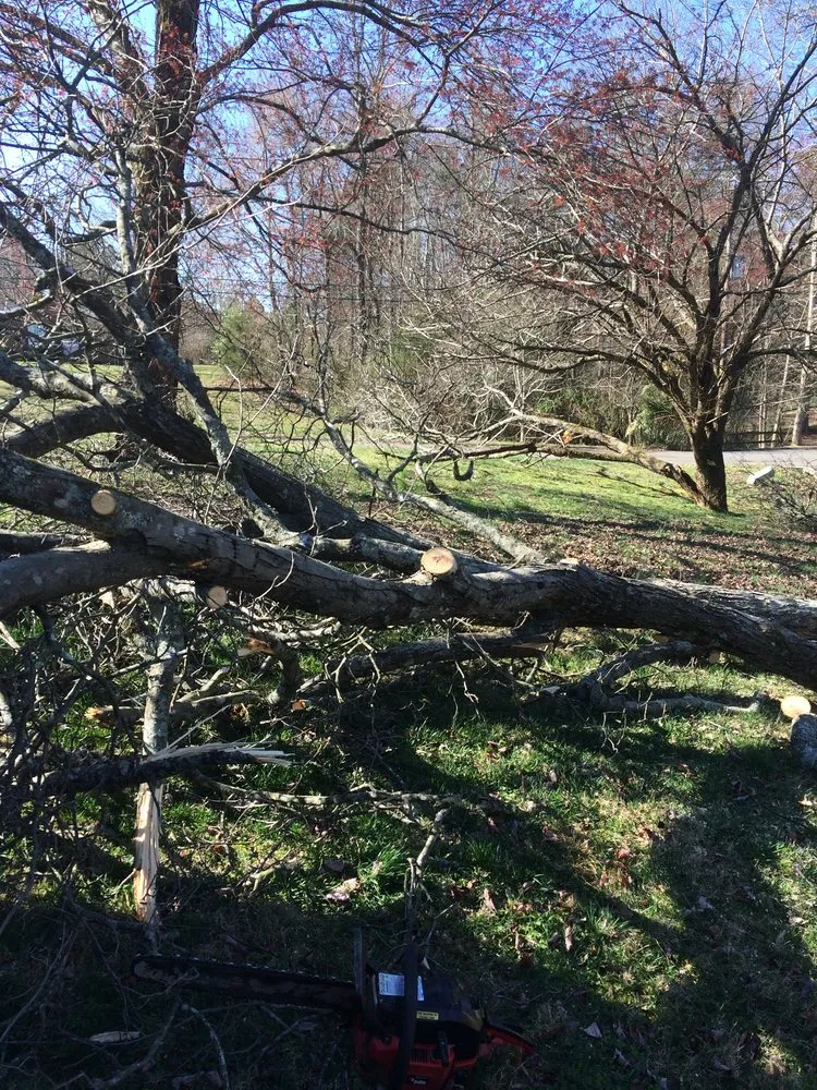 Affordable garden landscaping for homes across Soddy-Daisy, TN - B&B Tree Service & More