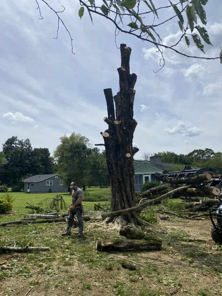Professional yard cleanup service experts serving Soddy-Daisy, TN - B&B Tree Service & More