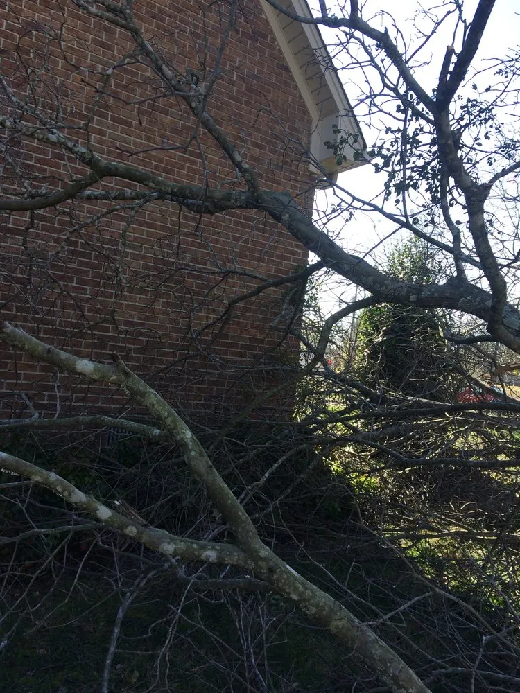 Reliable residential landscaping experts serving Soddy-Daisy, TN - B&B Tree Service & More