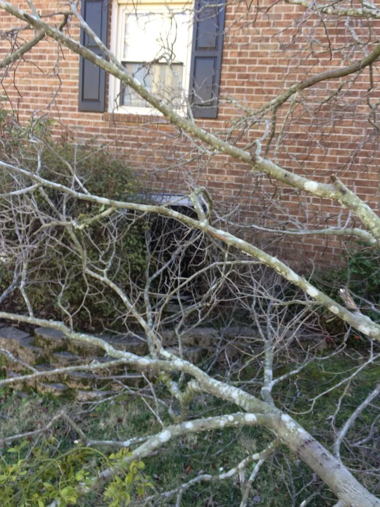 Custom outdoor landscaping for homes across Soddy-Daisy, TN - B&B Tree Service & More