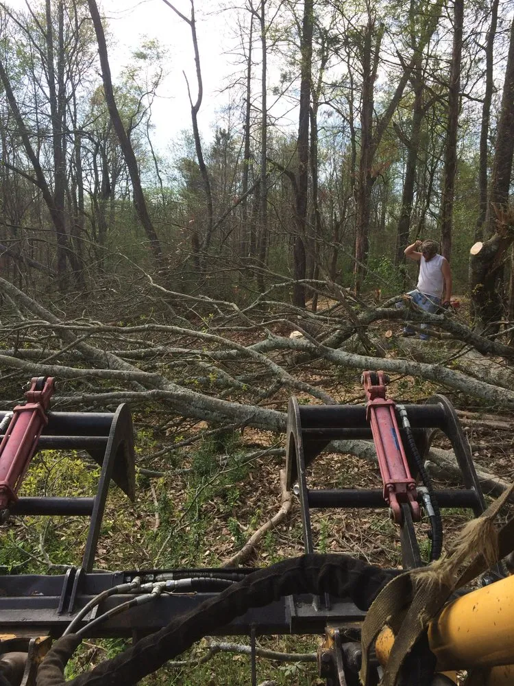Reliable garden landscaping in Soddy-Daisy, TN - B&B Tree Service & More