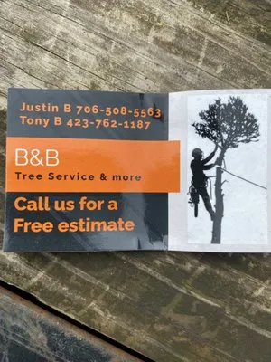 B&B Tree Service & More Logo