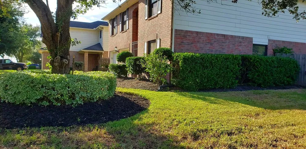 Reliable lawn care service in Houston, TX by B&B Turf Pros