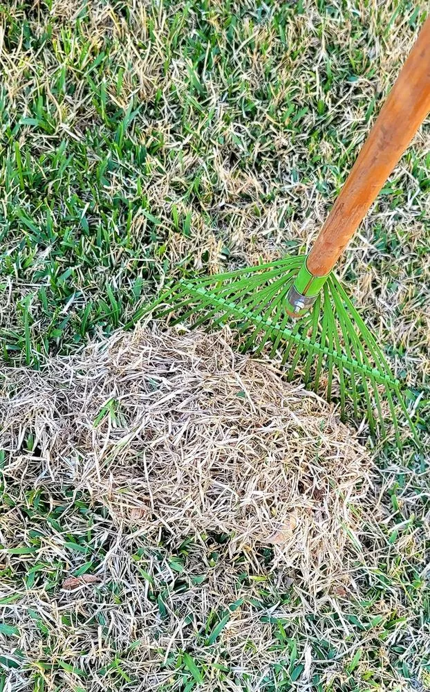 Local lawn care service with custom design across Houston, TX - B&B Turf Pros