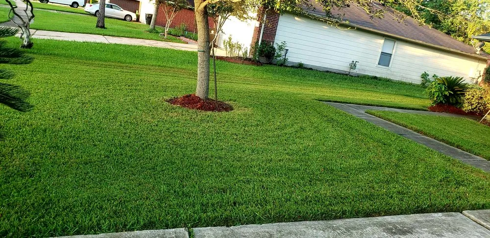 Reliable lawn mowing service experts serving Houston, TX - B&B Turf Pros