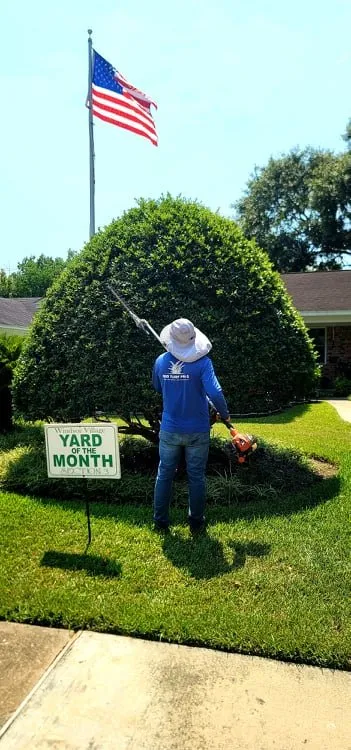 Affordable lawn mowing service for beautiful yards in Houston, TX by B&B Turf Pros