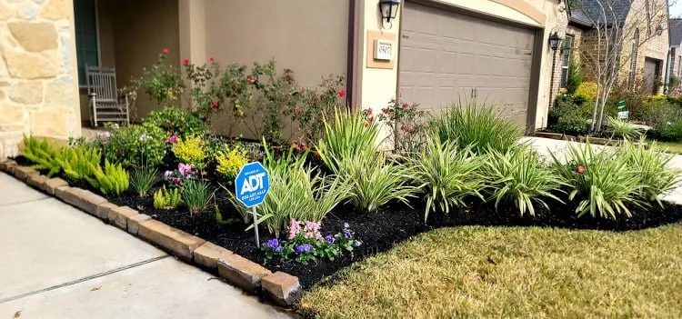 Professional landscape design in Houston, TX - B&B Turf Pros