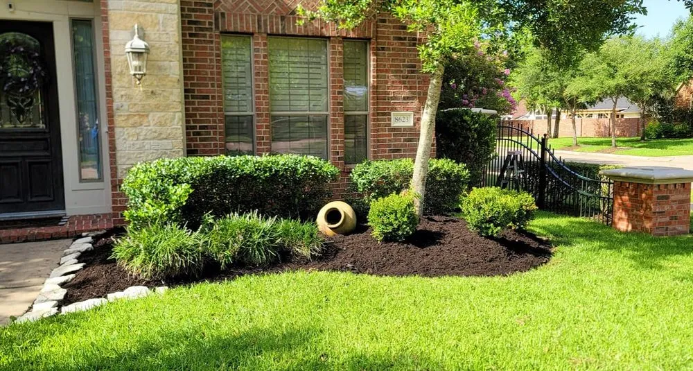 Reliable yard cleanup service in Houston, TX - B&B Turf Pros