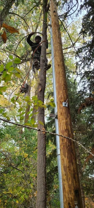 Custom landscape installation in Helena, MT - B&B Urban Forestry