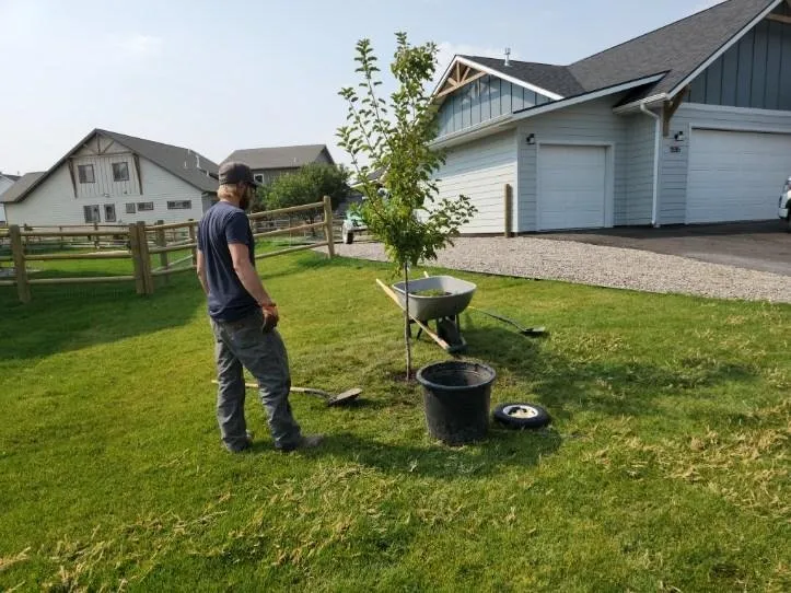 Local garden landscaping near you across Helena, MT - B&B Urban Forestry