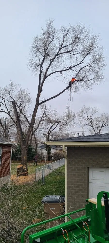 Affordable residential landscaping in Helena, MT - B&B Urban Forestry